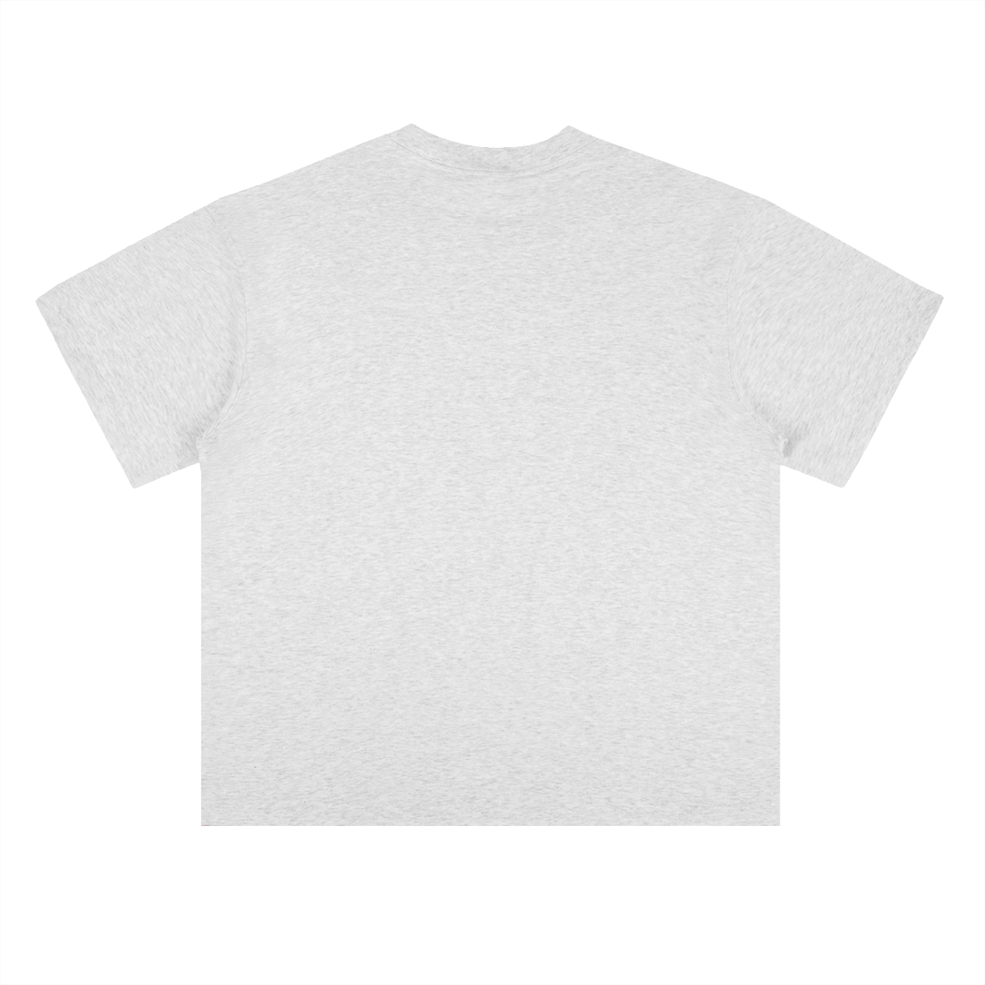 Protest-Heavyweight Drop Shoulder Cotton T-Shirt